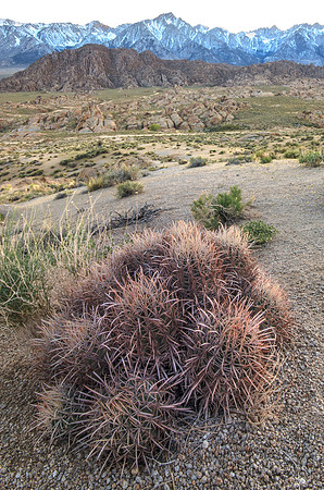 CH110429_AlabamaHills--0073