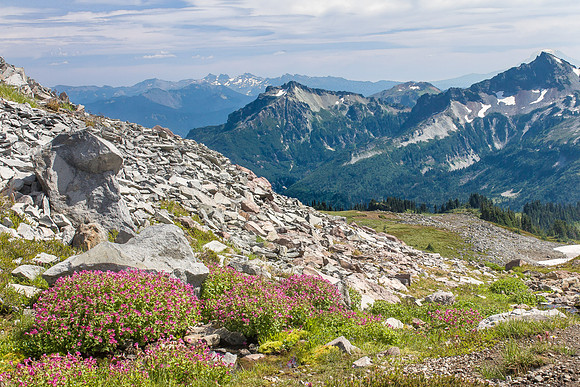 IMG_2832
