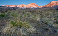 CH110430_ButtermilkMeadow_0042-HDR