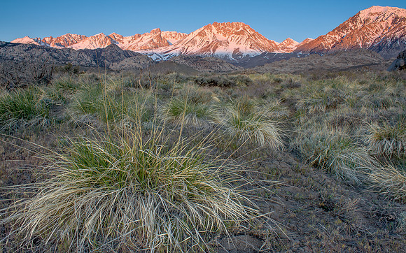 CH110430_ButtermilkMeadow_0042-HDR