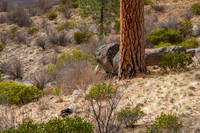 CH140326_Bend_ShevlinPark_011