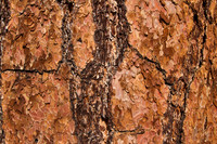 CH140326_Bend_ShevlinPark_010
