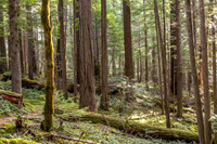 CH140324_BelknapHotSprings_018