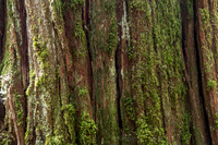 CH140324_BelknapHotSprings_010