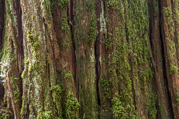 CH140324_BelknapHotSprings_010
