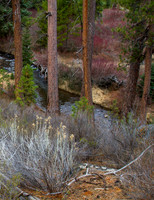 CH140326_Bend_ShevlinPark_028