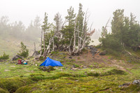 CH140815_Mt.Adams_KillenCreek_081