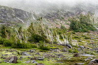 CH140815_Mt.Adams_KillenCreek_127