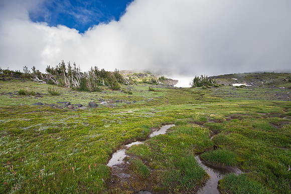 CH140815_Mt.Adams_KillenCreek_145