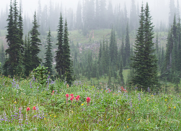 CH140815_Mt.Adams_KillenCreek_032