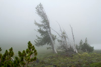 CH140815_Mt.Adams_KillenCreek_138