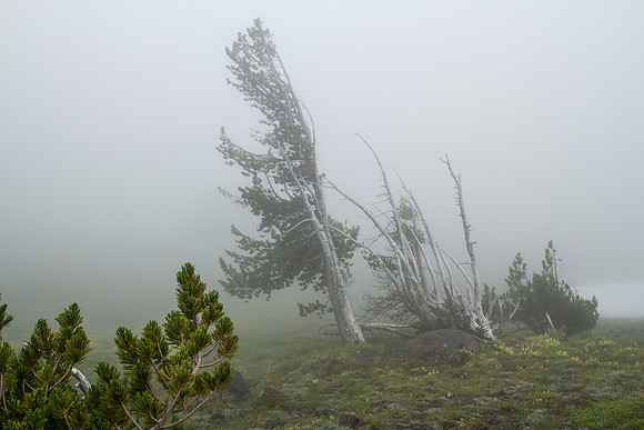 CH140815_Mt.Adams_KillenCreek_138