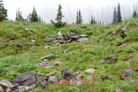 CH140815_Mt.Adams_KillenCreek_029