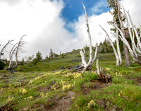 CH140815_Mt.Adams_KillenCreek_143