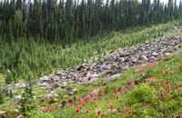 CH140815_Mt.Adams_KillenCreek_061