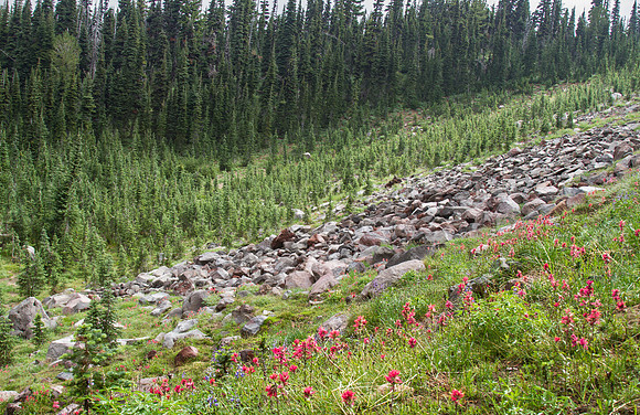 CH140815_Mt.Adams_KillenCreek_061