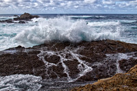 CH121227_PointLobos_0029
