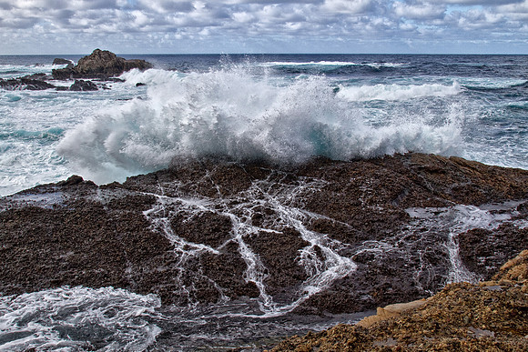CH121227_PointLobos_0029