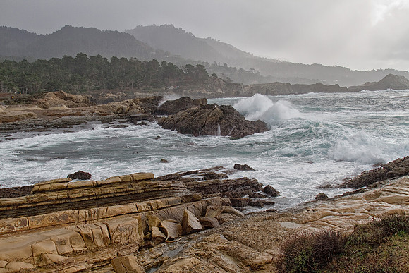 CH121226_PointLobos_038