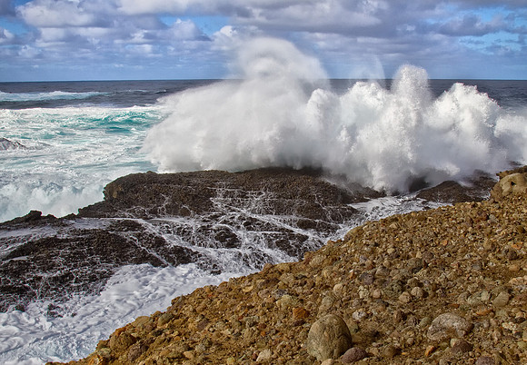 CH121227_PointLobos_0040