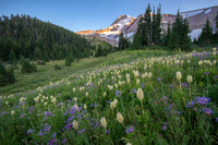 CH130814_MtHood-ElkCove_057