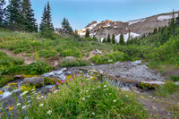 CH130814_MtHood-ElkCove_044