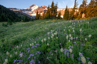 CH130814_MtHood-ElkCove_117