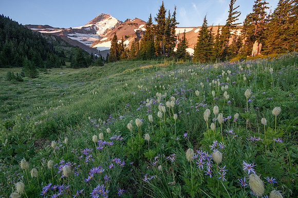 CH130814_MtHood-ElkCove_117