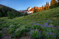 CH130814_MtHood-ElkCove_114
