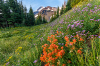 CH130814_MtHood-ElkCove_358
