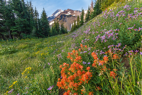 CH130814_MtHood-ElkCove_358