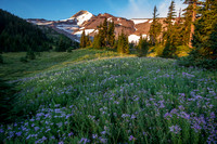CH130814_MtHood-ElkCove_125