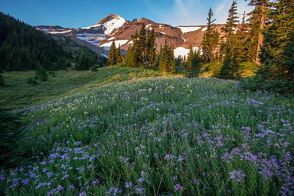 CH130814_MtHood-ElkCove_125