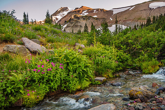 CH130814_MtHood-ElkCove_042-Edit