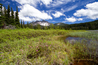CH130627_SantiamLake_211_Edit