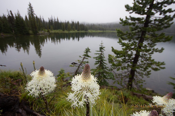 CH130627_SantiamLake_009