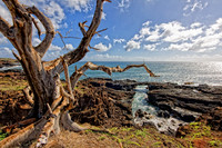 CH111219_Hawaii2011_Day3_37 as Smart Object-1
