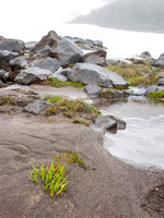CH140815_Mt.Adams_KillenCreek_078
