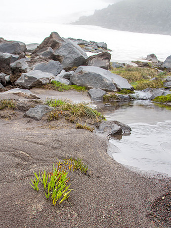CH140815_Mt.Adams_KillenCreek_078
