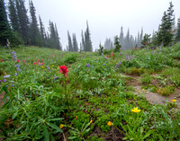CH140815_Mt.Adams_KillenCreek_021