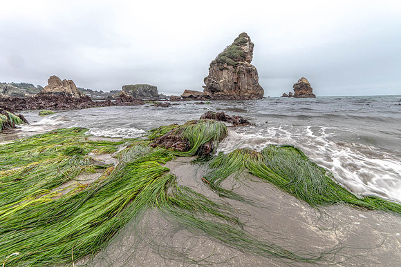 CH191224_Brookings_068