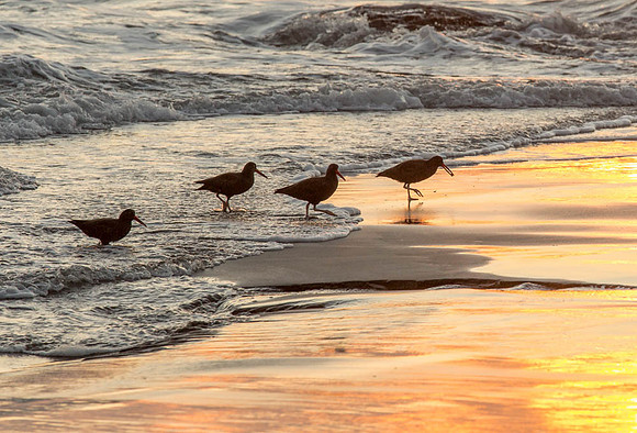 CH161224_HarrisBeach_086