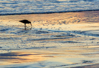 CH161224_HarrisBeach_085