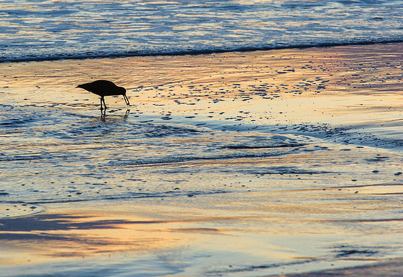 CH161224_HarrisBeach_085