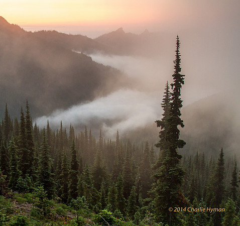 CH140721_OlympicPeninsula_HurricaneRidgeSunset_114