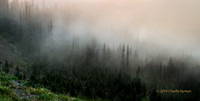 CH140721_OlympicPeninsula_HurricaneRidgeSunset_116
