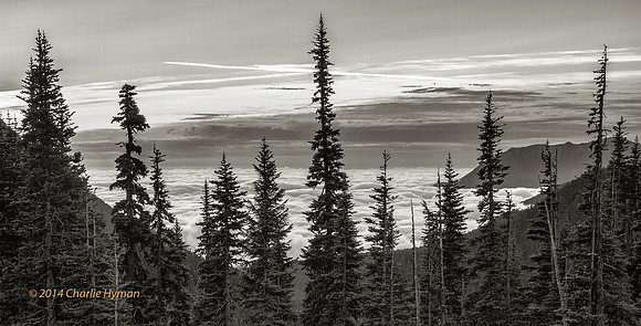 CH140722_OlympicPeninsula_HurricaneRidgeSunrise_032-Edit