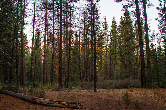 CH140103_CattleCamp_004