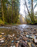CH161228_ElkPrairie_RedwoodNP_002