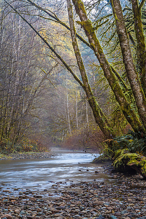 CH161228_ElkPrairie_RedwoodNP_010